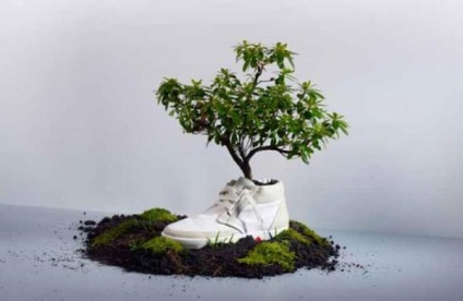 Top 10 idei originale de a transforma pantofi vechi în ghivece de flori