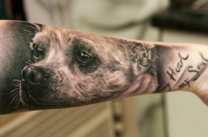 Top-12 cele mai drăguțe tatuaje cu câini