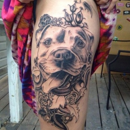 Top-12 leginkább aranyos tetoválás kutyákkal