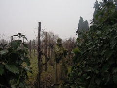 Torcello, traseu de vânt