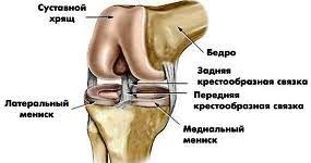 Leziuni ale ligamentului cruciat posterior al tratamentului genunchiului