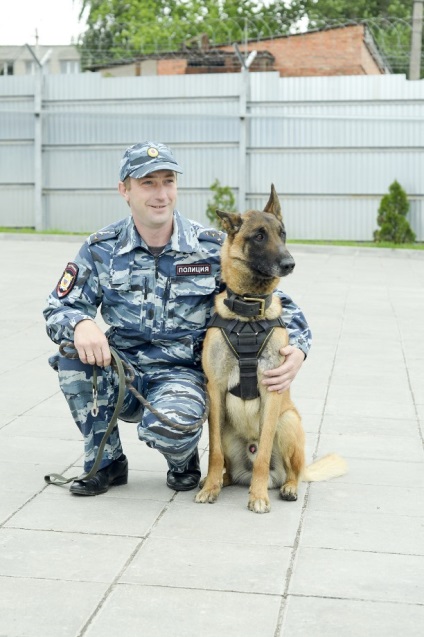 Tula cannologi câine poate fi înșelat, un câine - niciodată!