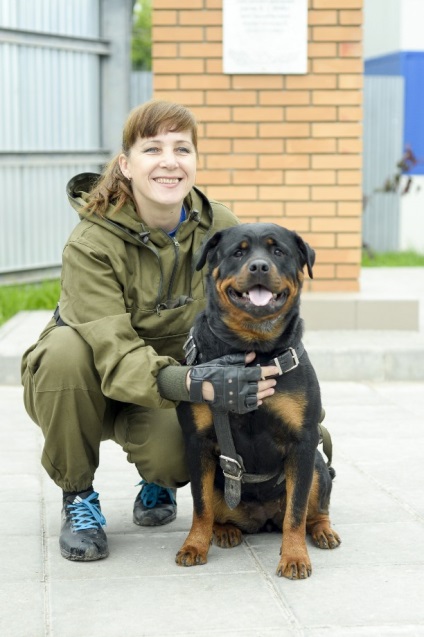 Tula kutya-cinikusok megtéveszthetők, egy kutya - soha!