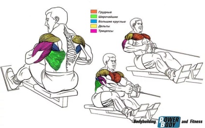 Tracțiunea blocului orizontal (inferior) - dezvoltăm mușchii spatelui