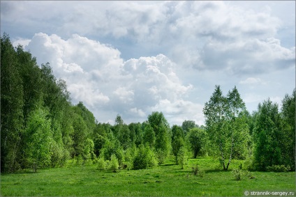 Homesteads lângă Moscova pe malurile râului Lutosni - Boblovo, roach, șah