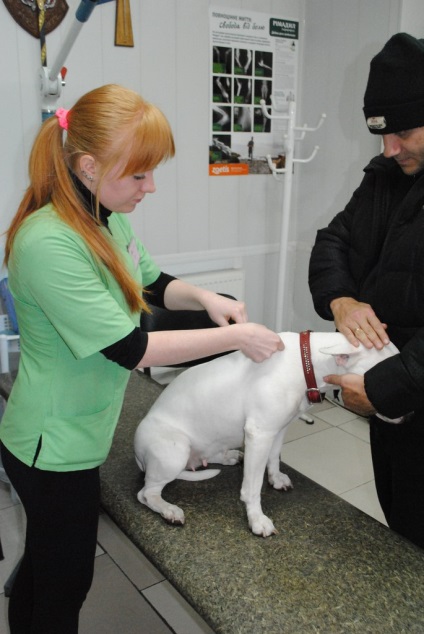 Clinici veterinare în Zaporozhye la