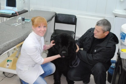 Clinici veterinare în Zaporozhye la