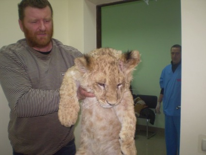 Clinici veterinare în Zaporozhye la