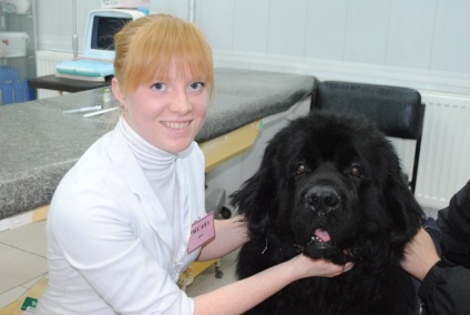 Clinici veterinare în Zaporozhye la