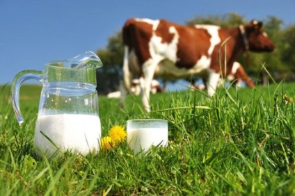 Alegerea laptelui natural și a produselor lactate