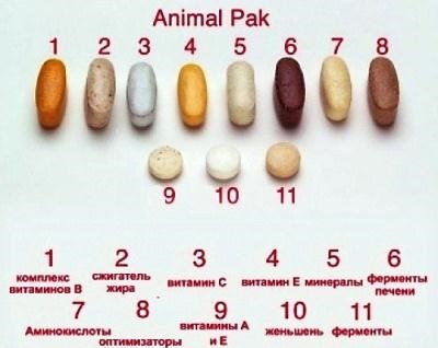 Vitamina animal apoi cum să ia, compoziția, instrucțiunile de utilizare - viața mea