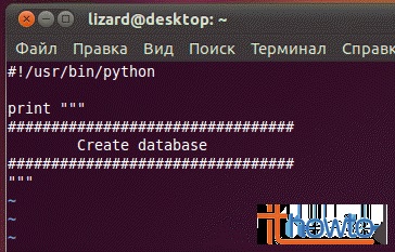 Ieșirea șirurilor în Python