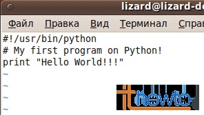 Ieșirea șirurilor în Python