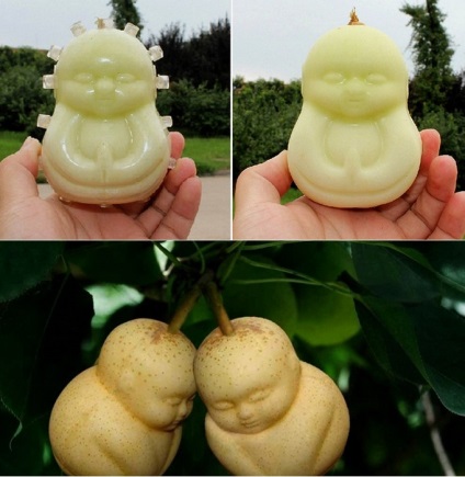 În China, cultivați legumele și fructele de designer sub formă de figuri de personalități celebre