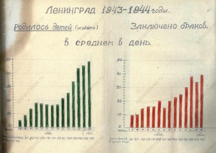 Timp militar - arhivele din Sankt Petersburg