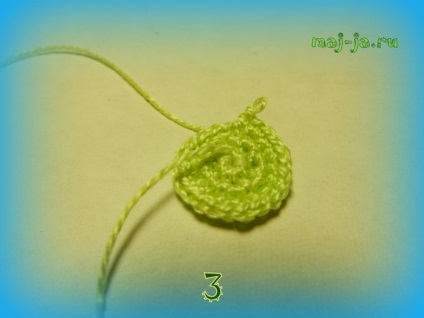 Legume tricotate din măduvă vegetală tricotată