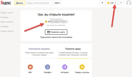 Bani Yandex - înregistrarea unei pungi