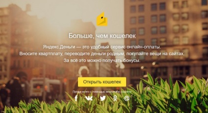 Bani Yandex - înregistrarea unei pungi