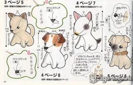 Modelul japonez de câini și clasa de master