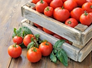 Am devenit un milionar de tomate în creștere 