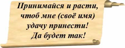 Planul de a îmbunătăți situația, magia casei