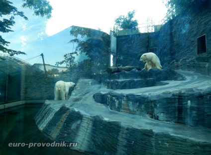 Gradina zoologica din Praga - excursie la gama superioara a parcului