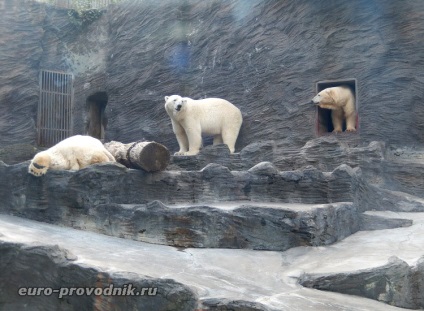 Gradina zoologica din Praga - excursie la gama superioara a parcului