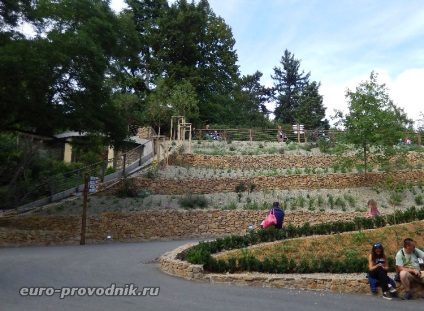 Gradina zoologica din Praga - excursie la gama superioara a parcului