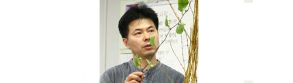 10 Floriștii asiatici cei mai buni, o planetă de florărie, o revistă online despre floristică