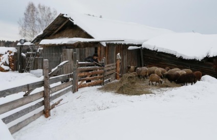 Un pensionar de 66 de ani cu o pisică a trăit în satul natal timp de 10 ani, unde nu mai există