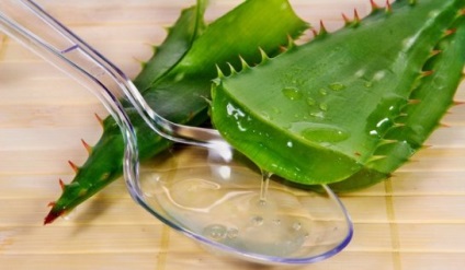 Aloe vera proprietăți de vindecare, rețete