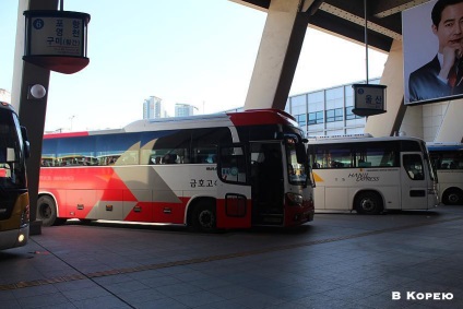 Autobuze în Coreea, în Coreea