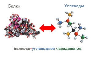 Proteine-carbohidrați meniuri alternative pentru o săptămână și recenzii