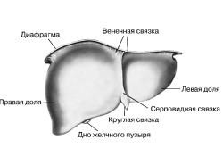 Durerea în ficat cauzează și tratamentul, simptome, forme de ficat hepatitic (video)