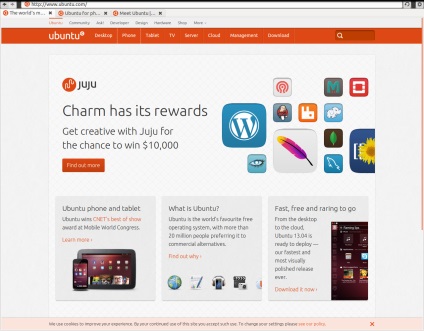 Browsere în ubuntu, un blog despre linux ubuntu