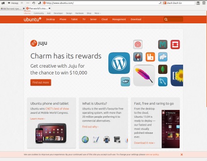 Browsere în ubuntu, un blog despre linux ubuntu
