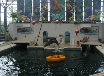 Dolphinarium, varna, descriere bulgară, fotografie, unde este pe hartă, cum să obțineți