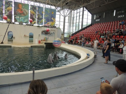 Dolphinarium, varna, descriere bulgară, fotografie, unde este pe hartă, cum să obțineți