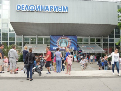 Dolphinarium, varna, descriere bulgară, fotografie, unde este pe hartă, cum să obțineți