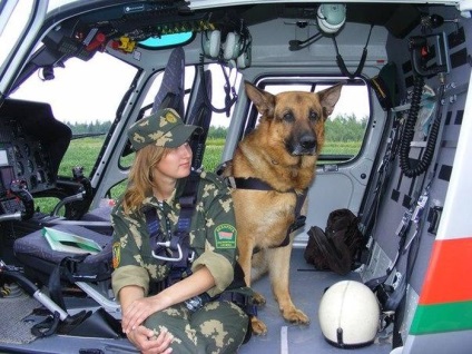 A kutyás kutyám kutyáim németül értenek, leereszkednek a helikopterből és megőrzik a bűnözőket