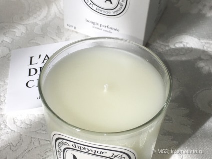 Diptyque mimosa scented candle - mirosul primelor recenzii