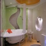 Design de baie și toaletă (23 fotografii)