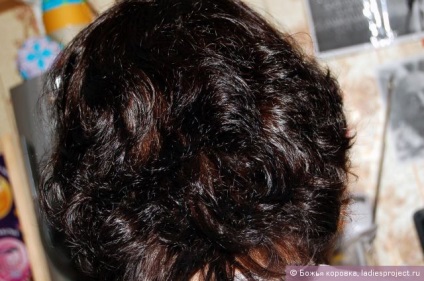Balsam Express împotriva mătasei de aur pentru părul pierdut din meșteșugurile populare - rechemare, fotografii și preț