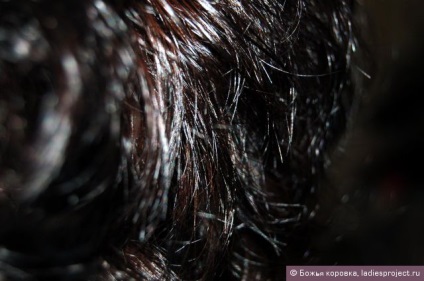 Balsam Express împotriva mătasei de aur pentru părul pierdut din meșteșugurile populare - rechemare, fotografii și preț