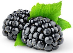 Blackberry beneficiază și afectează fructele pentru organism