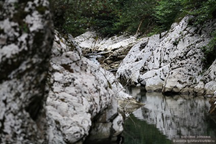 Ghid pentru sochi