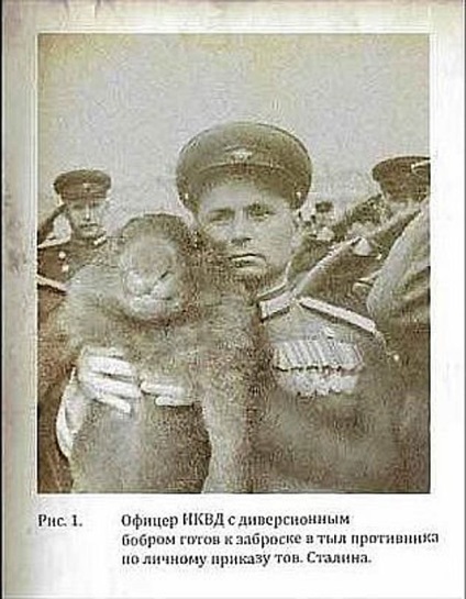 Fotomontajul ca instrument de propagandă în Marele Război Patriotic - știri în fotografii