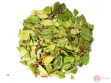 Hydrosalpinx - tratamentul pe bază de plante, peste o ceașcă de ceai