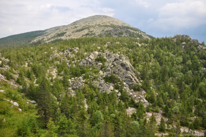 Hill körforgalom