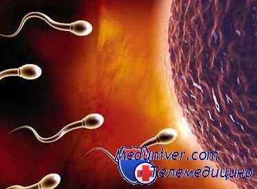 Inseminarea artificială - ultima șansă de a cunoaște bucuria maternității